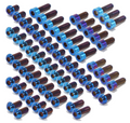 Talaria Sting Titanium Bolt Kit